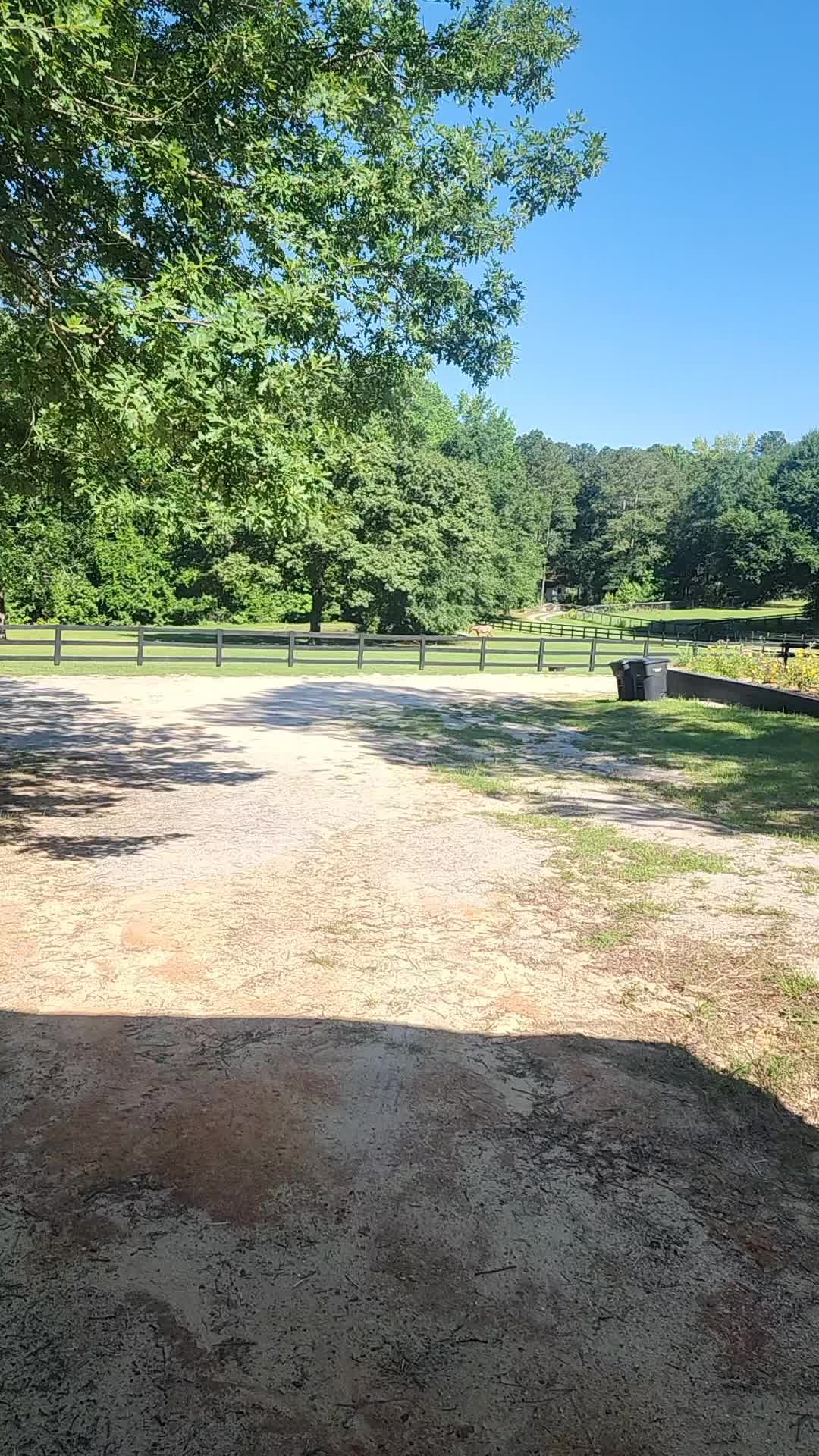 @Almost Perfect Acres