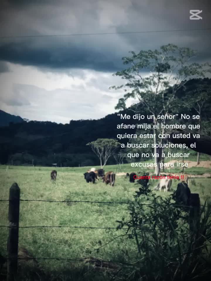 @Villa_00