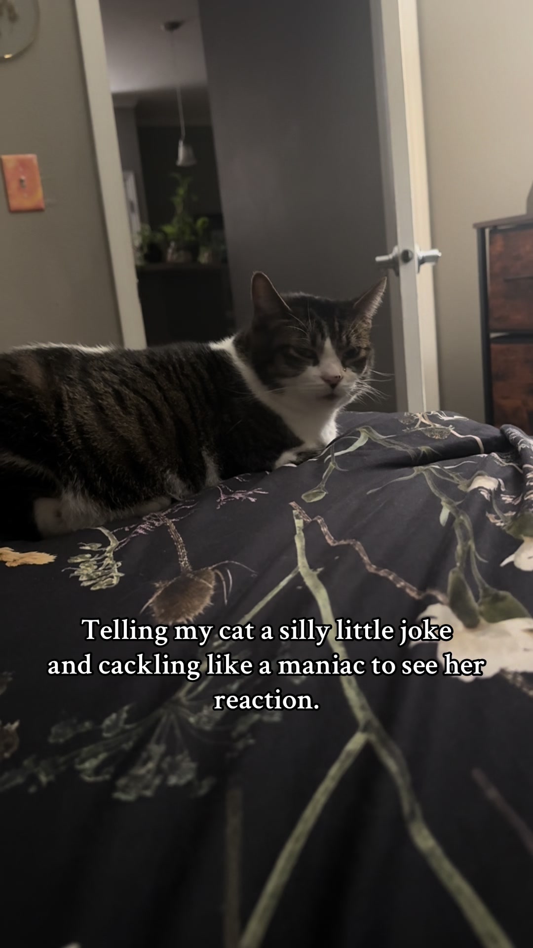 @_saratonin