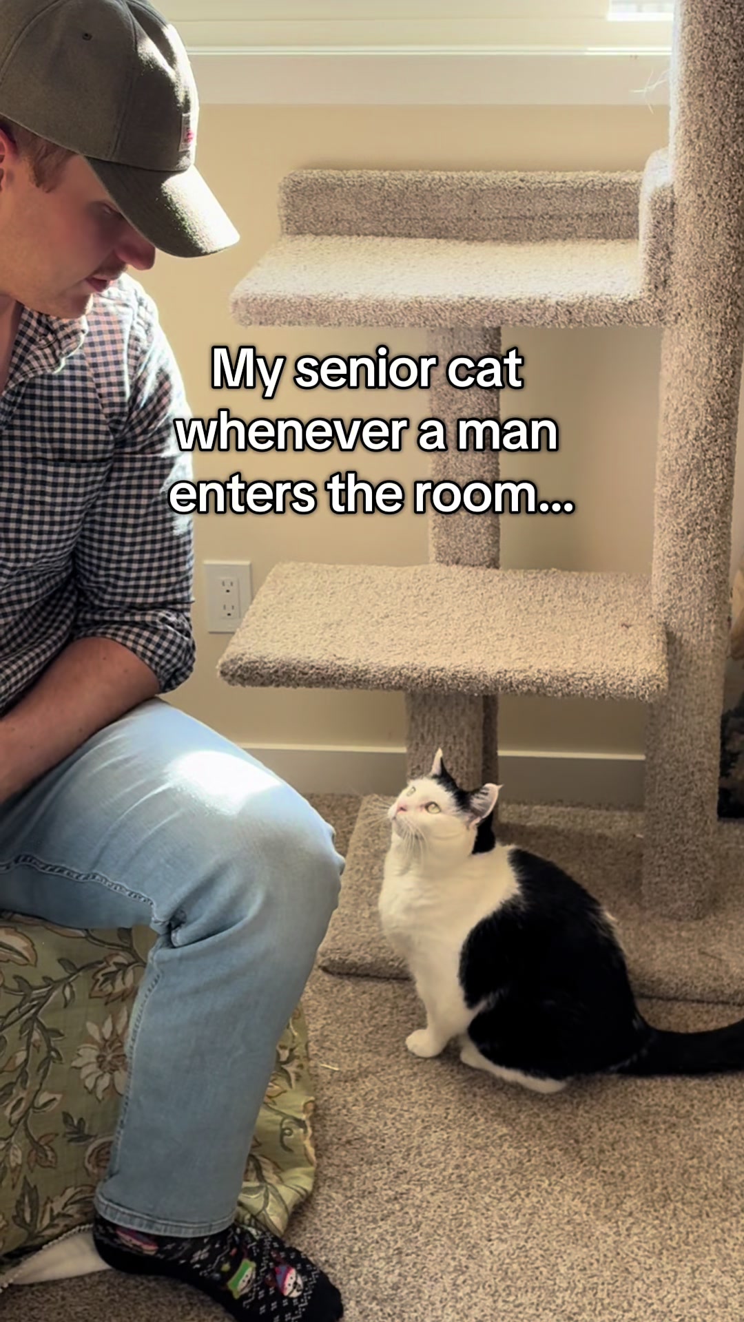 @poppytherescuecat_