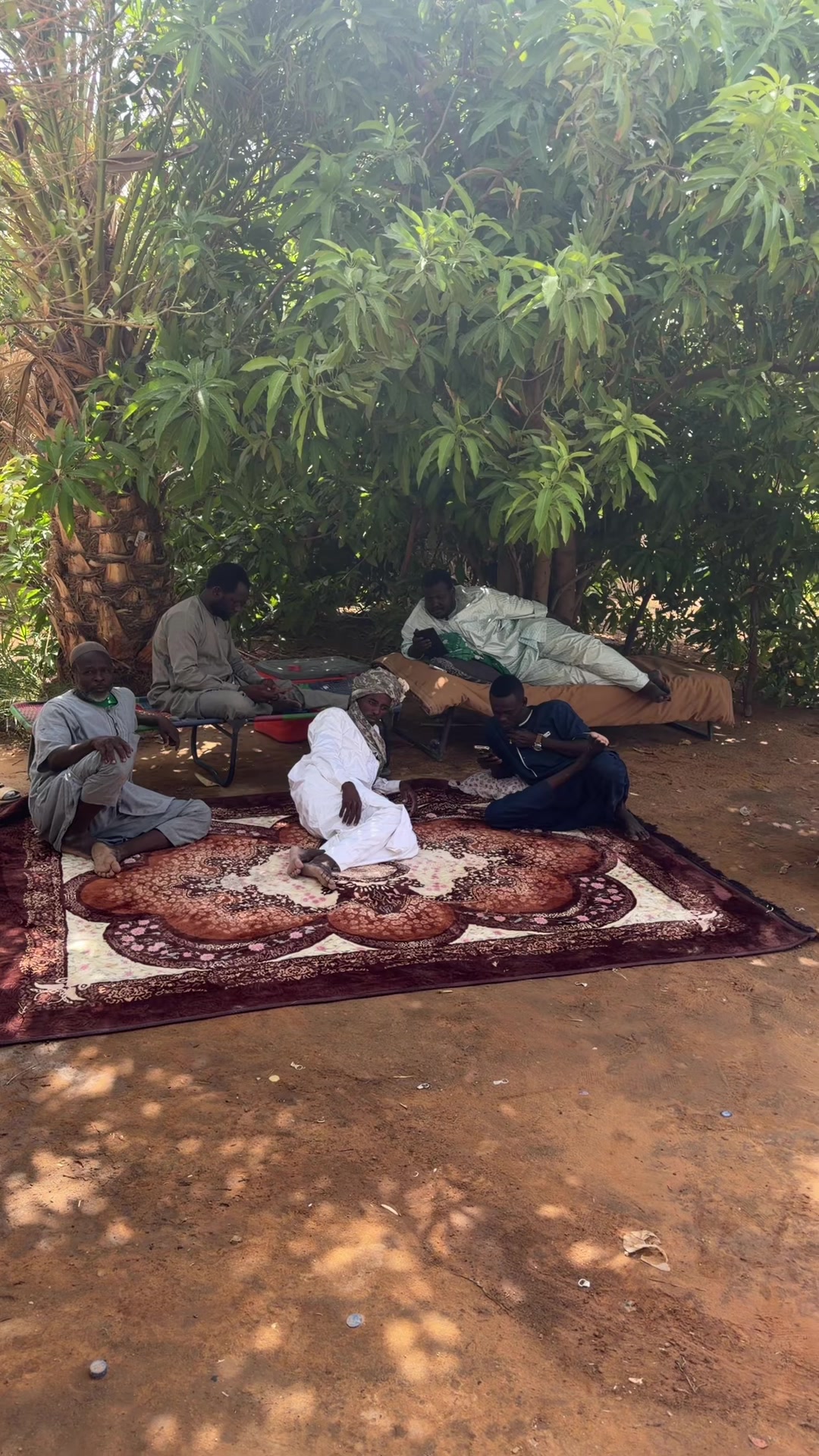 @Tourgoudi 235