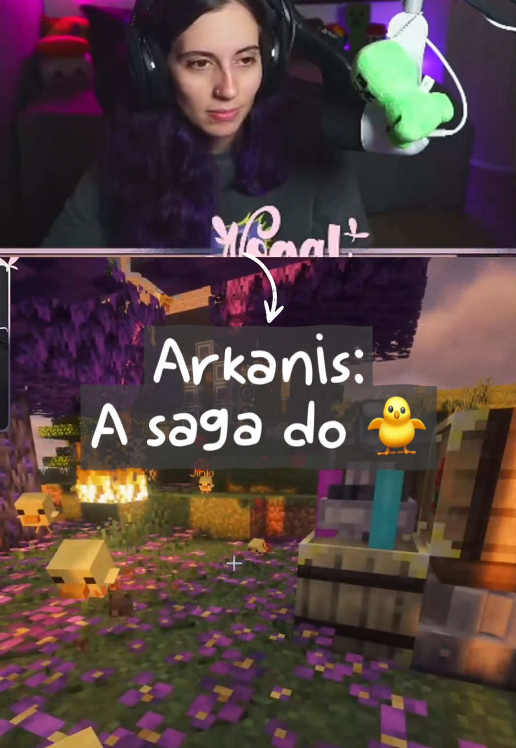 @Camila Nogal