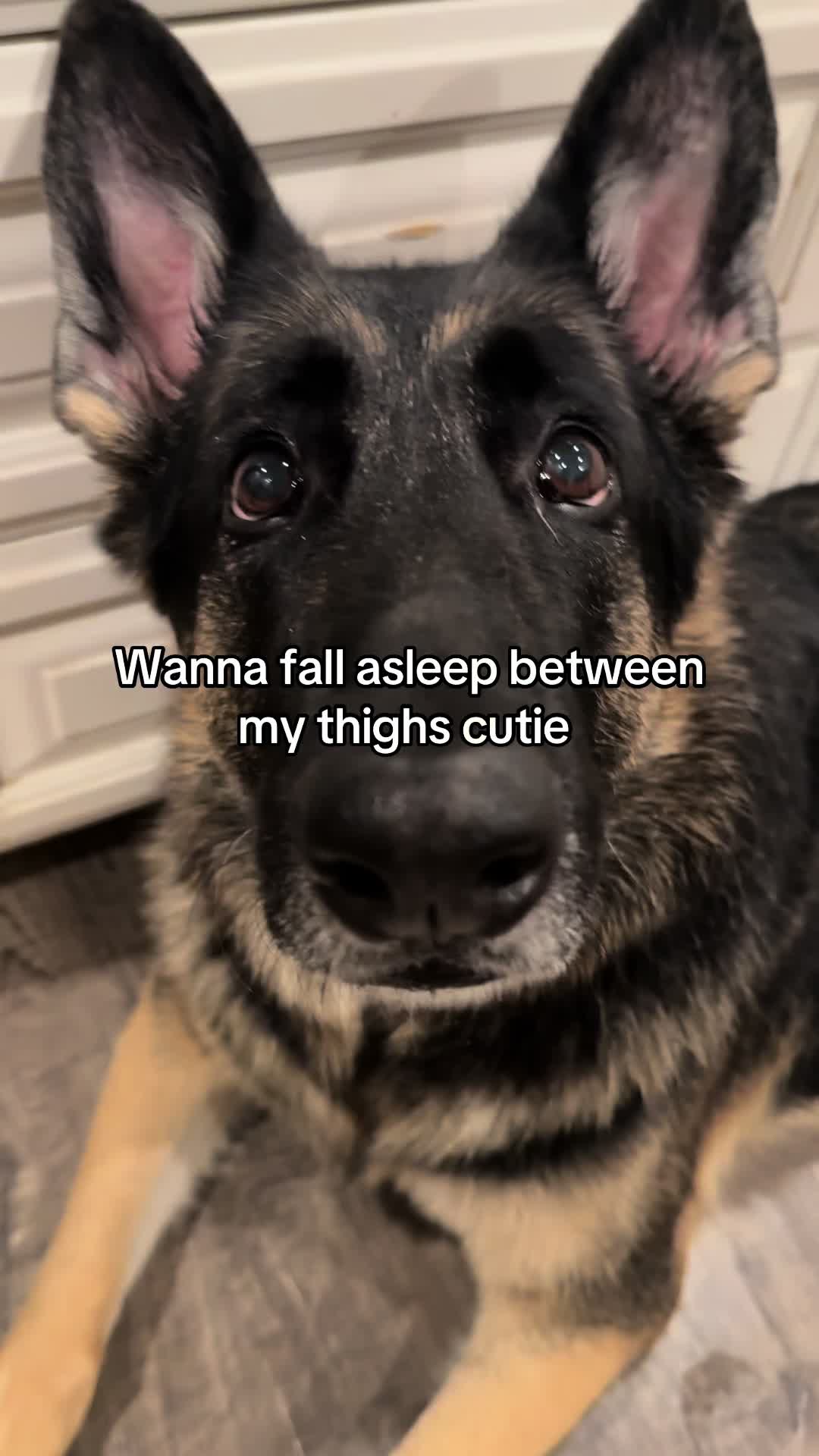 @Bhris