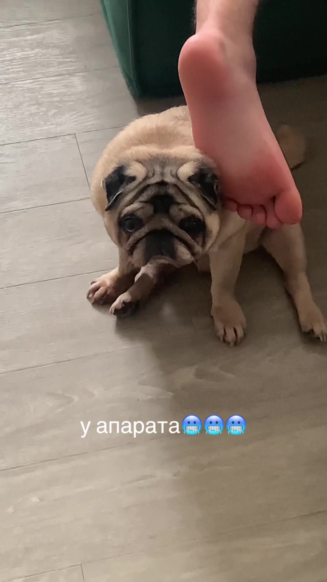 @Тру: ЖоРкА