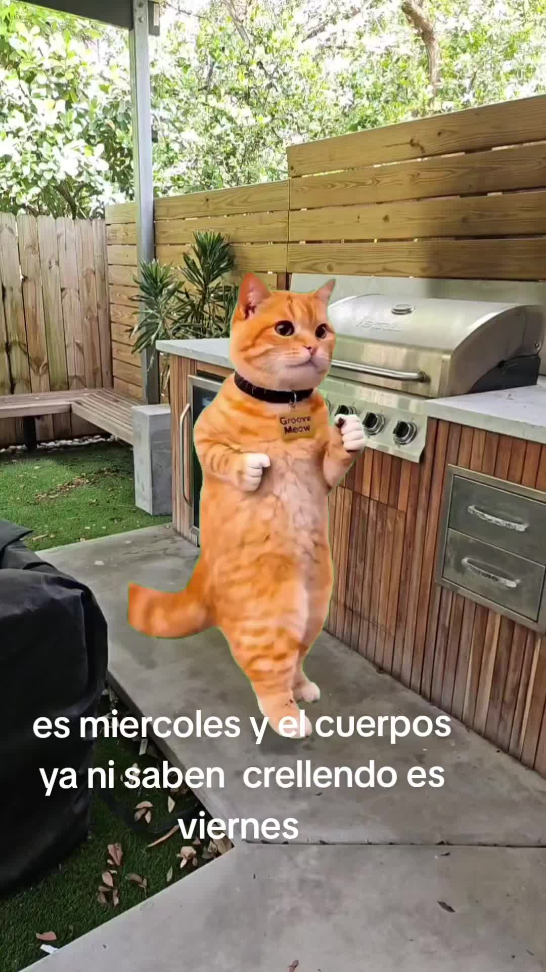 @DIOS CON MIGO