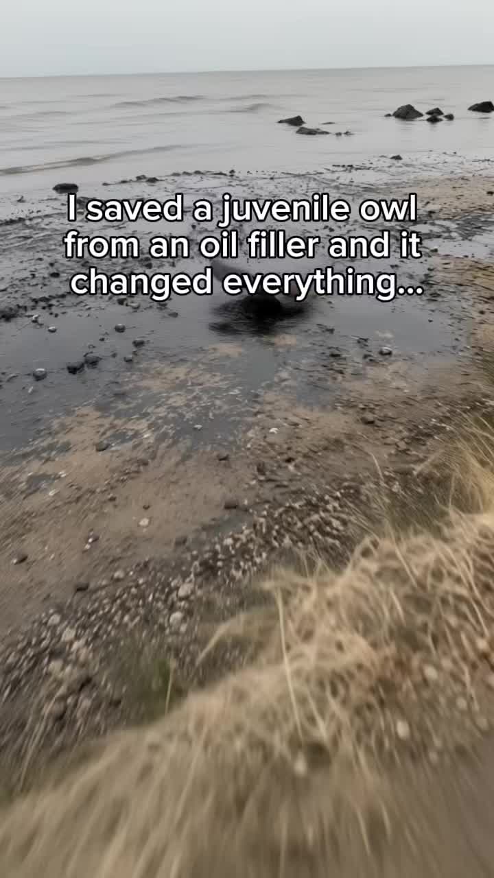 @AJ🦁