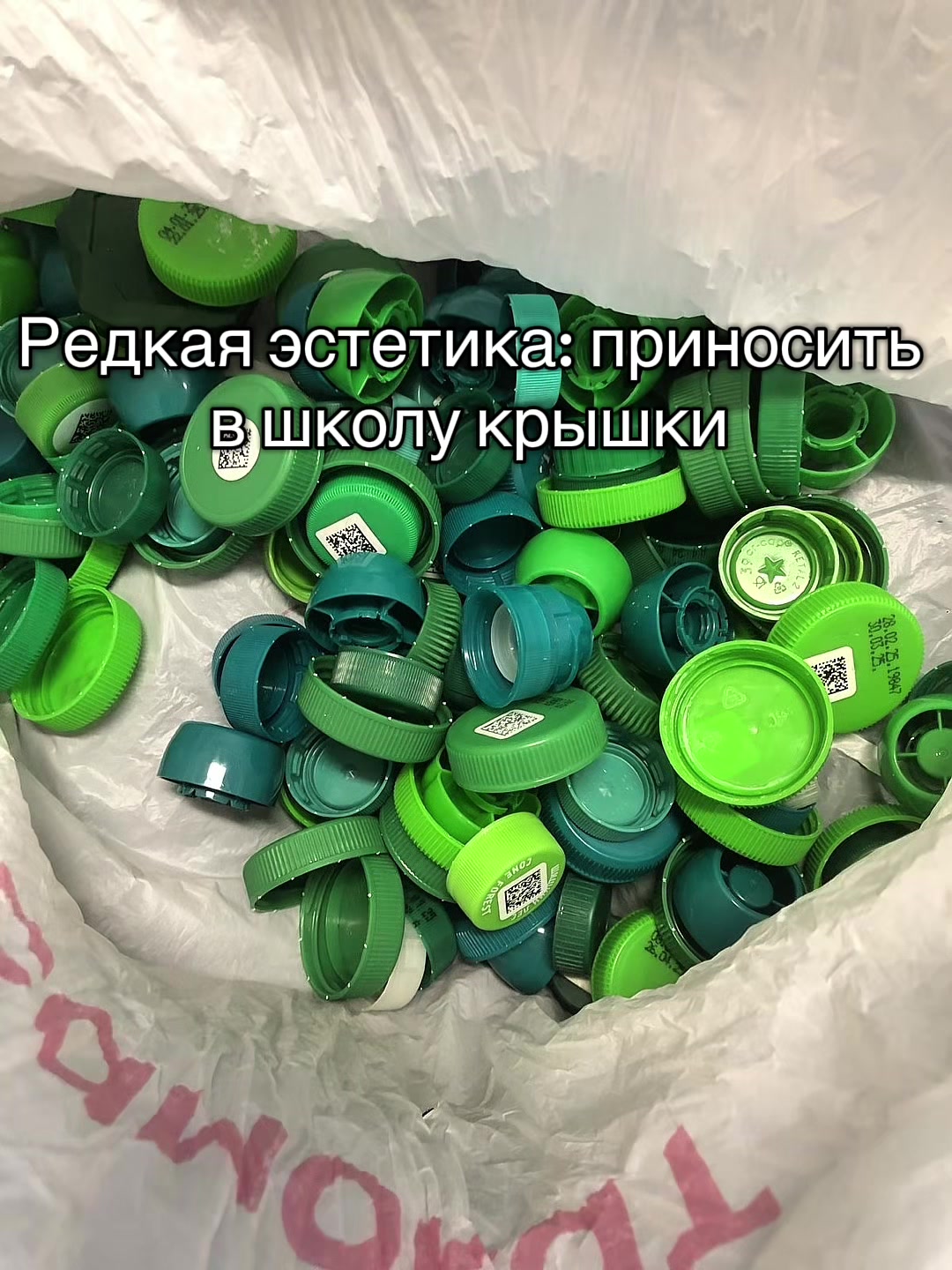 @XOXO 6H
