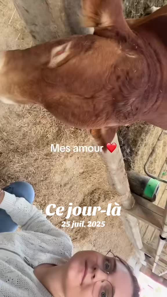 @ledemon823