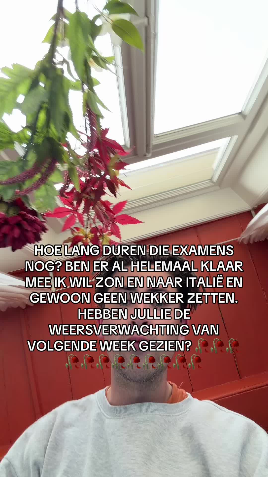 @P.J. Kruizinga