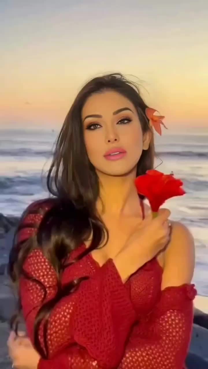 @ÁVIDA 👑