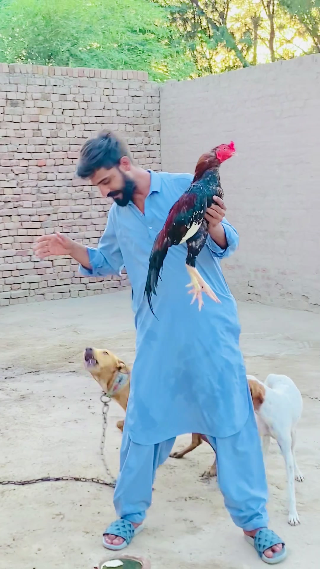 @Mahar Ajmal jutta
