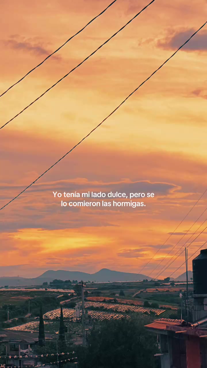 @Alexandra Garfias