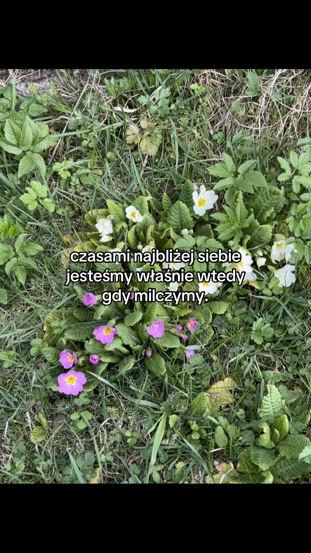 @cytaty