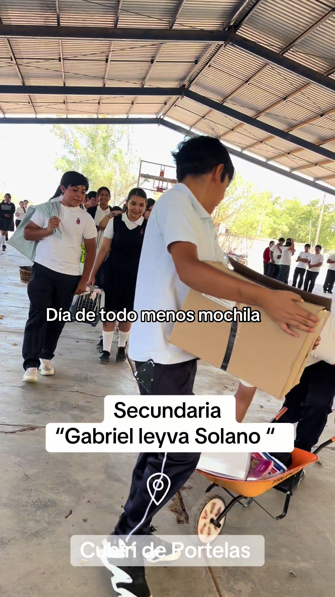 @maestracarolinaarmenta