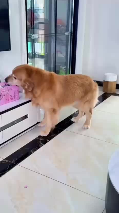 @Funny
