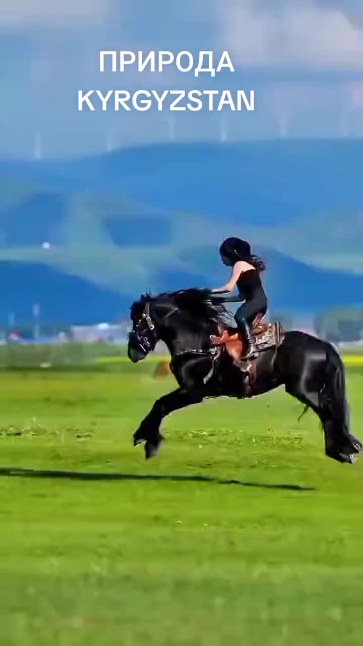 @Aidarali Maasaliev