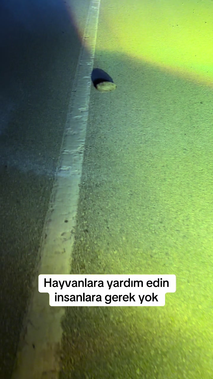 @ertuğrul