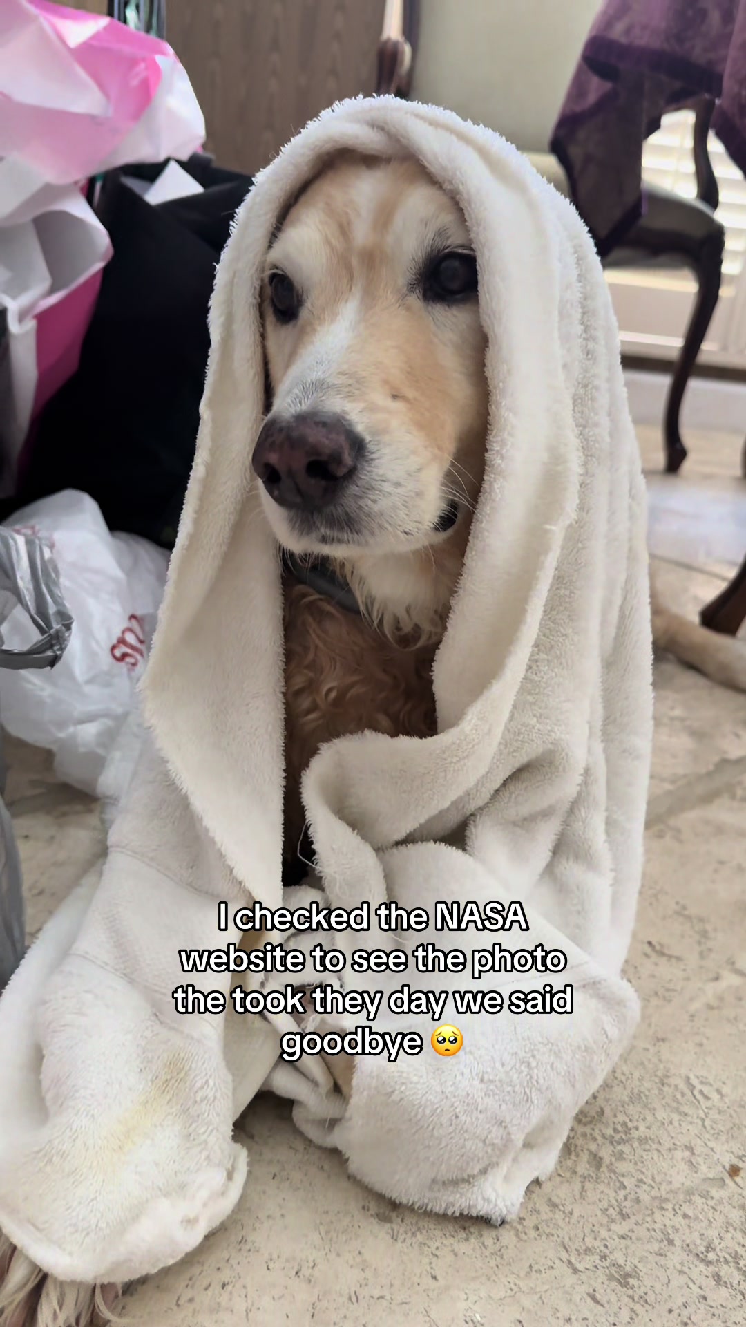 @Ja