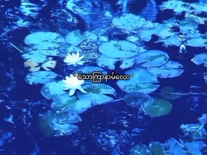 @โก๏ธ ๐๐ ๐๐๐๐