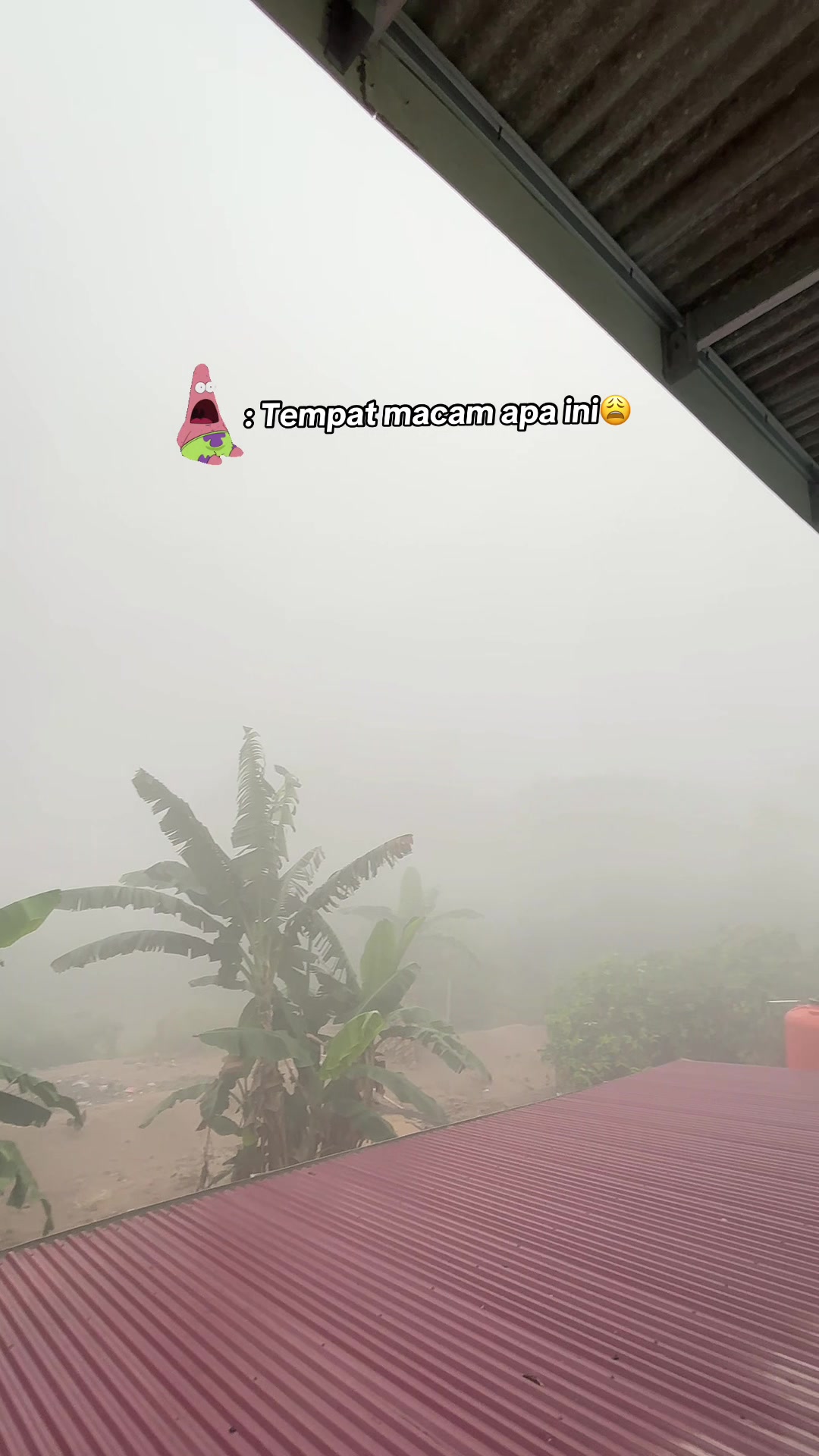@Irma🦩