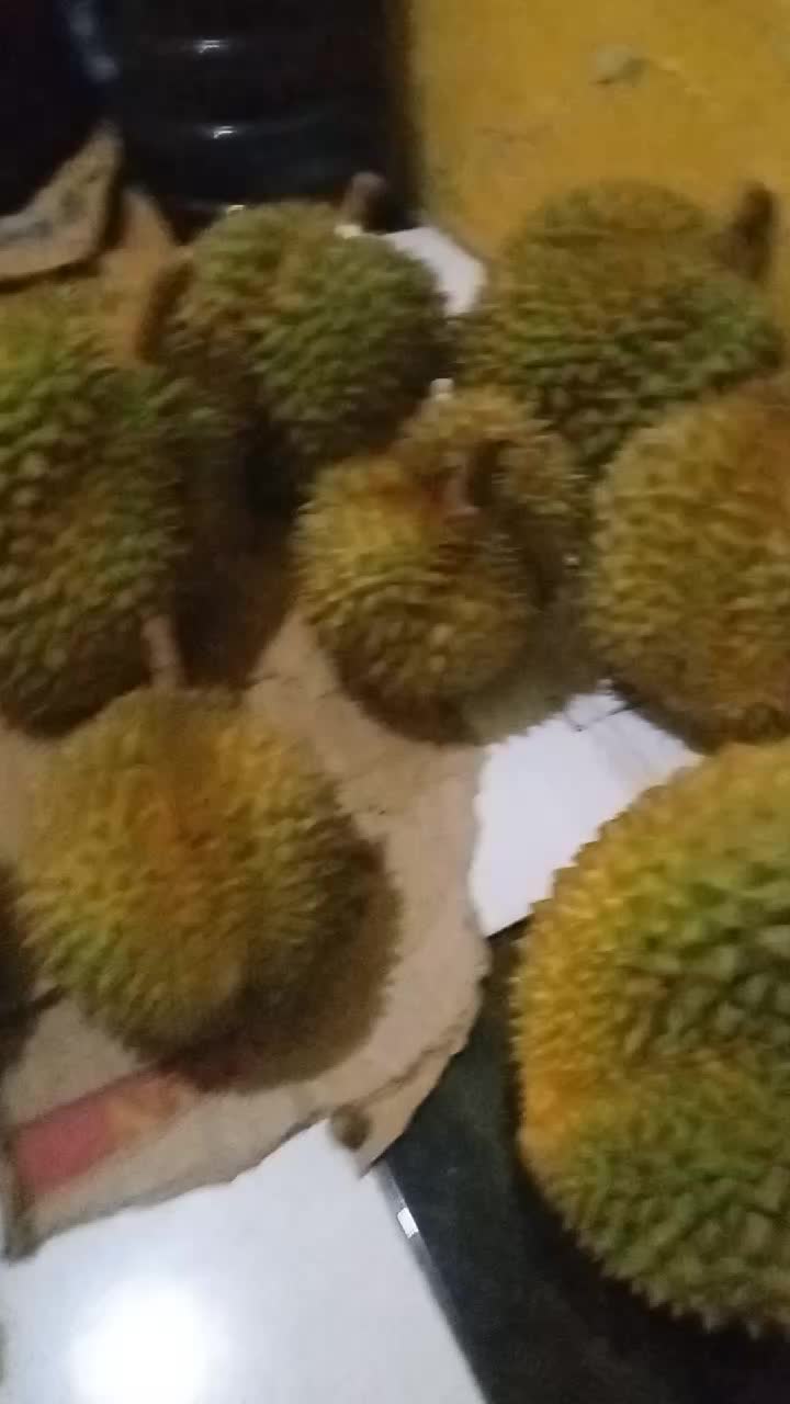 @Store durian simadep