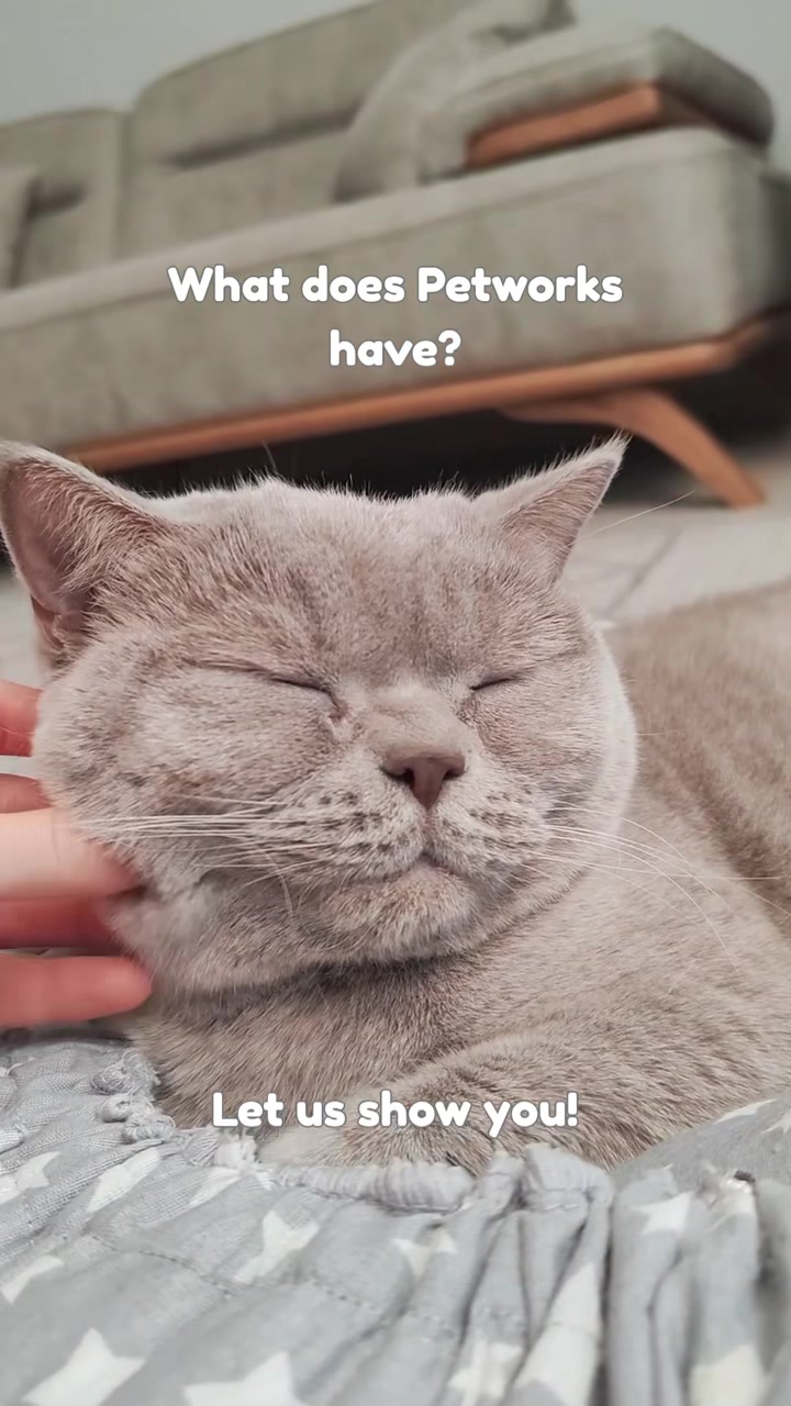 @Petworks.com