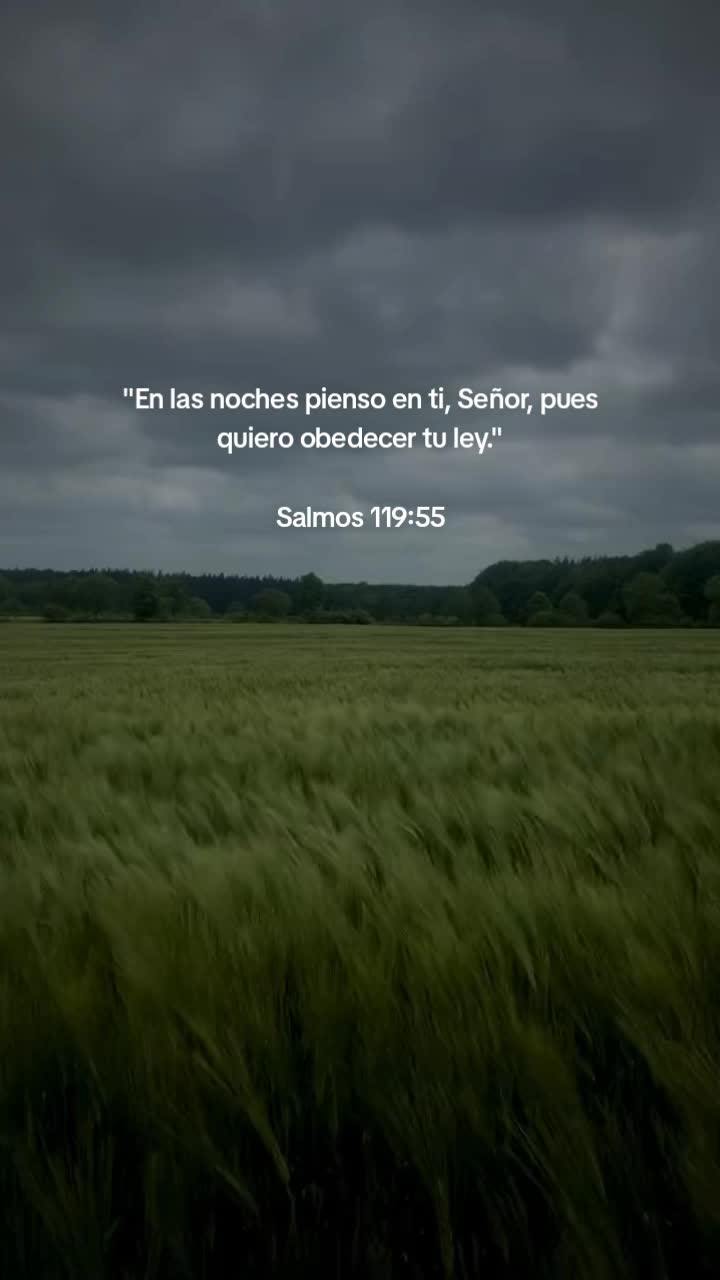 @ever502.1