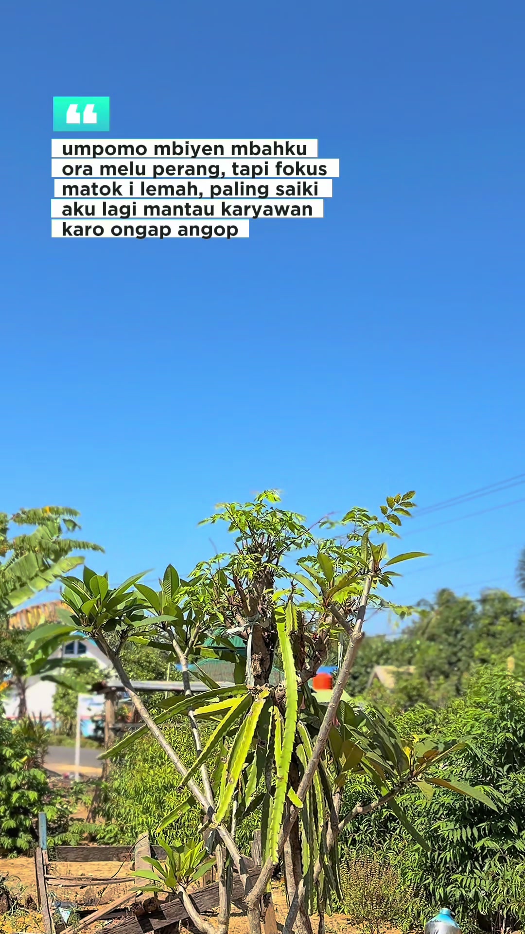 @Bang Ogi 69