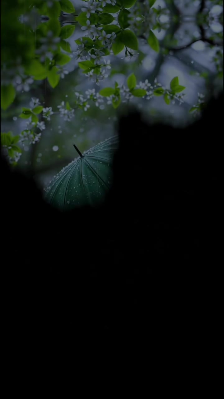 @𝐁𝐊𝐖𝐑𝐈𝐓𝐄𝐒 🫶🌹🦜