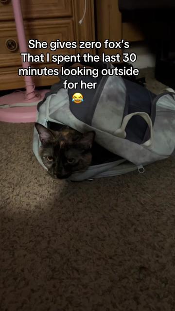 @nana_loves_tiktok