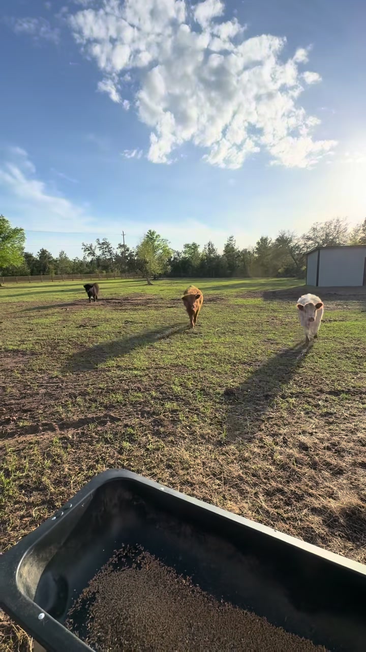 @WildernessRanch