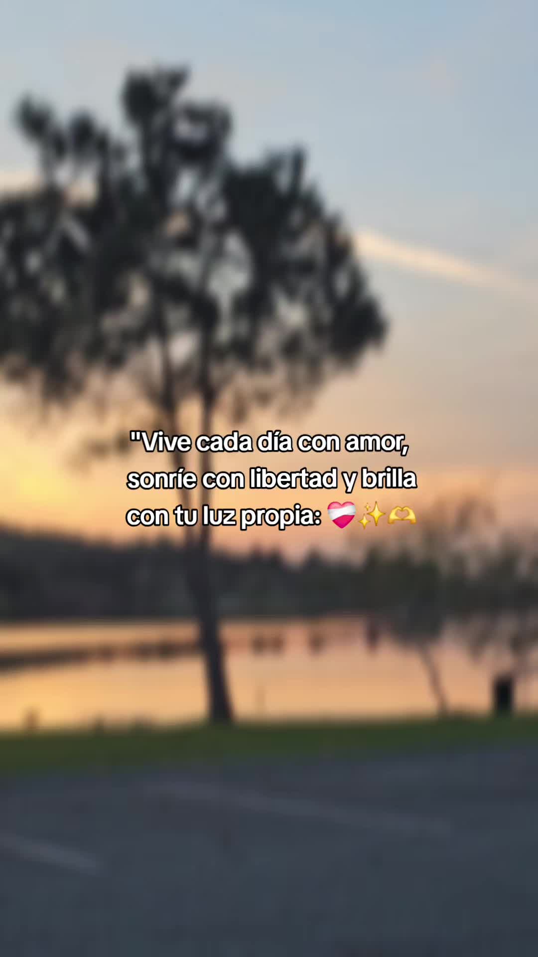 @damarishernandez649