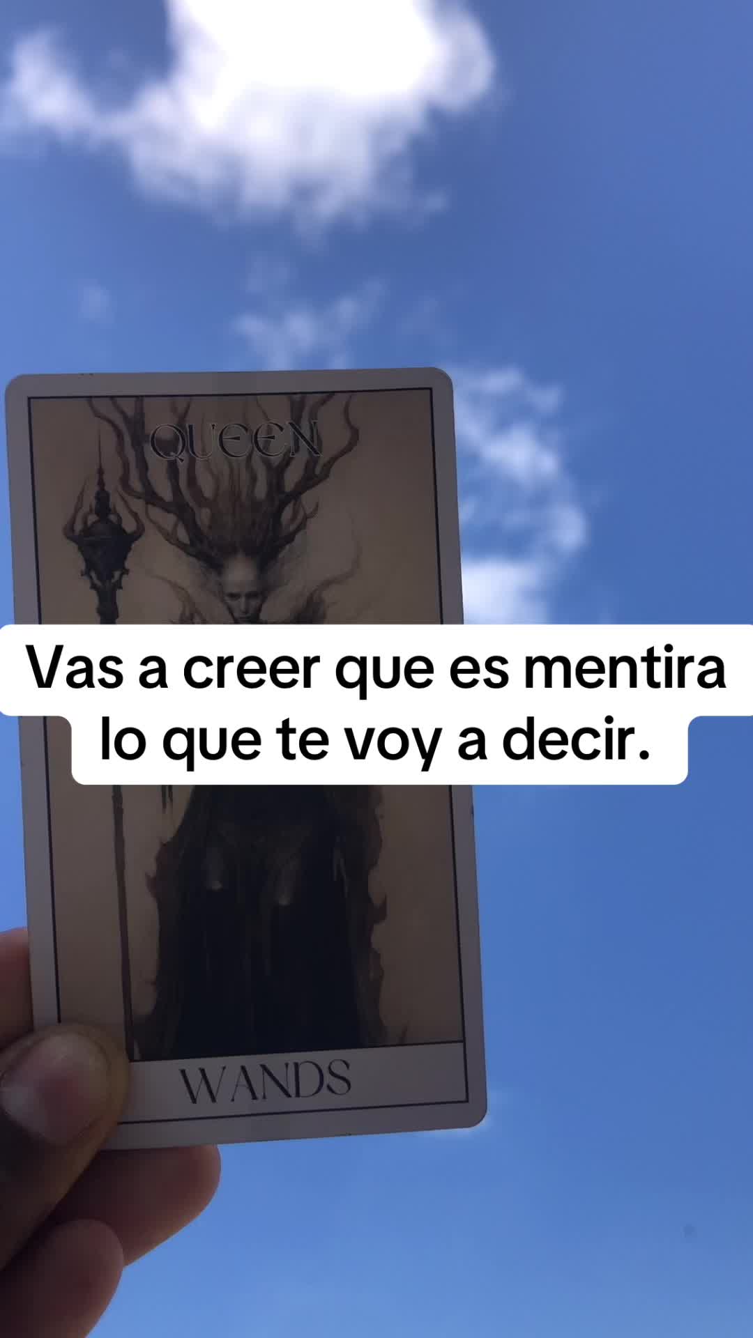 @San Miguel Tarot Sin Secreto🔯
