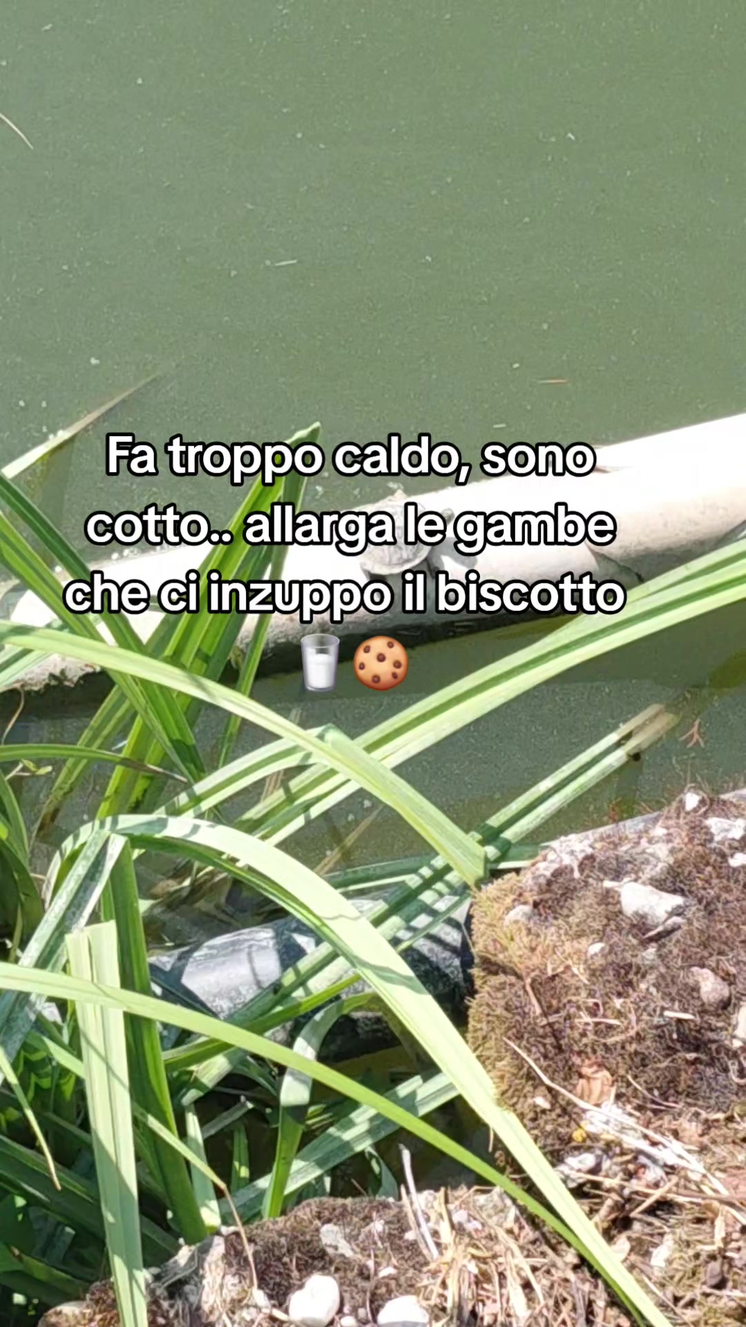 @Enzo enzuccio90