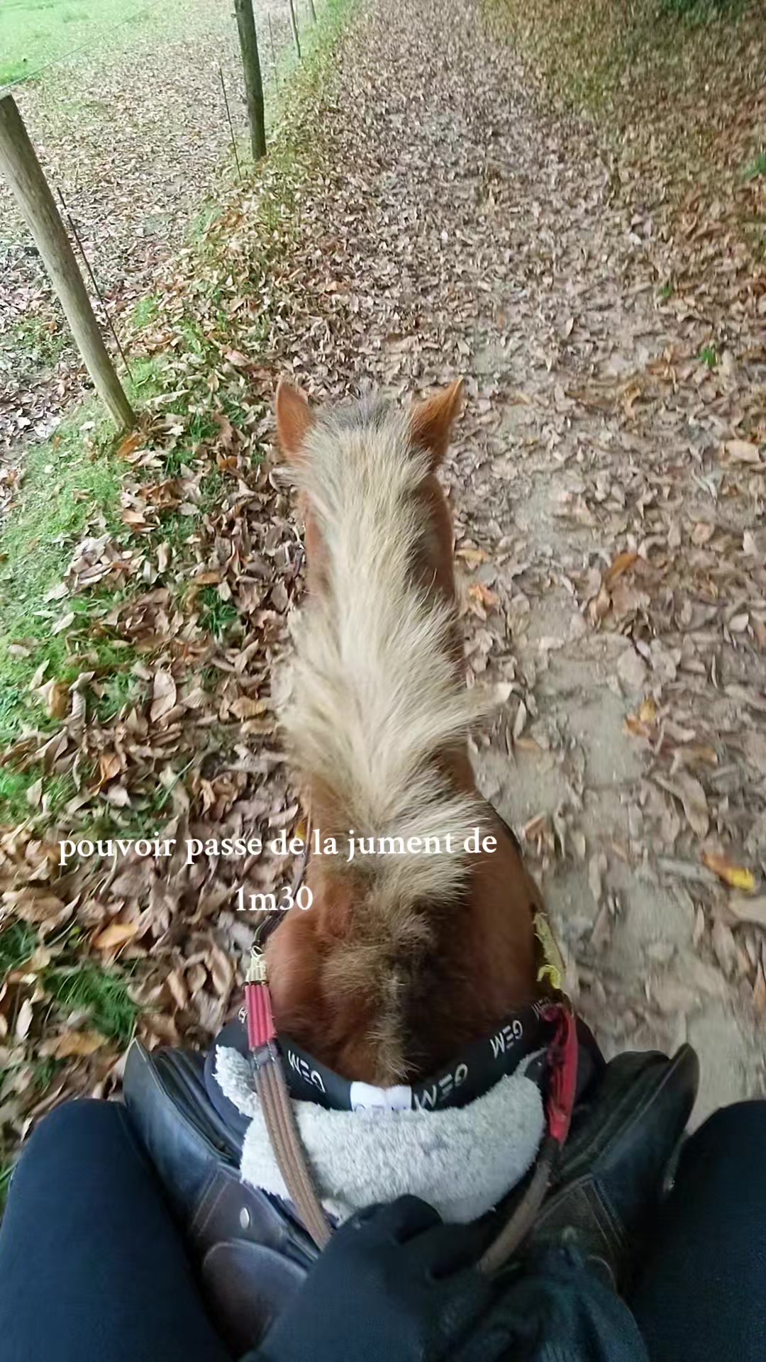 @๐