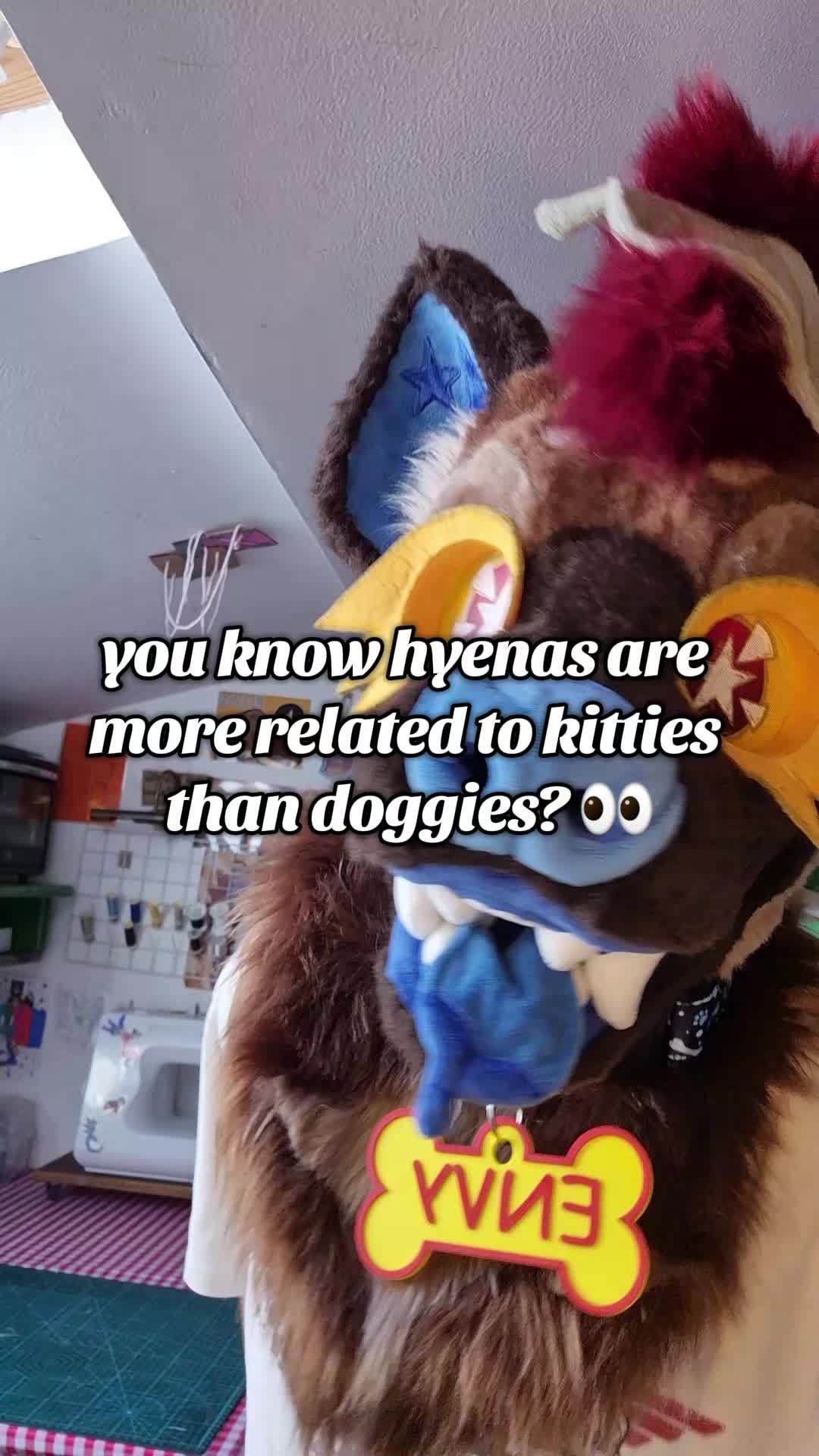 @â ððððð â