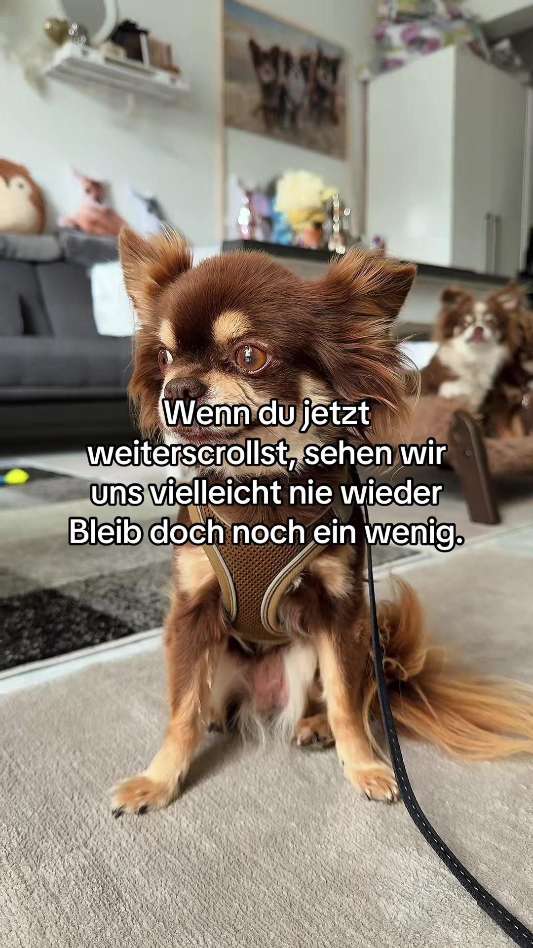 @Hɪᴍʙäʀᴄʜᴇɴ 🦅🇩🇪