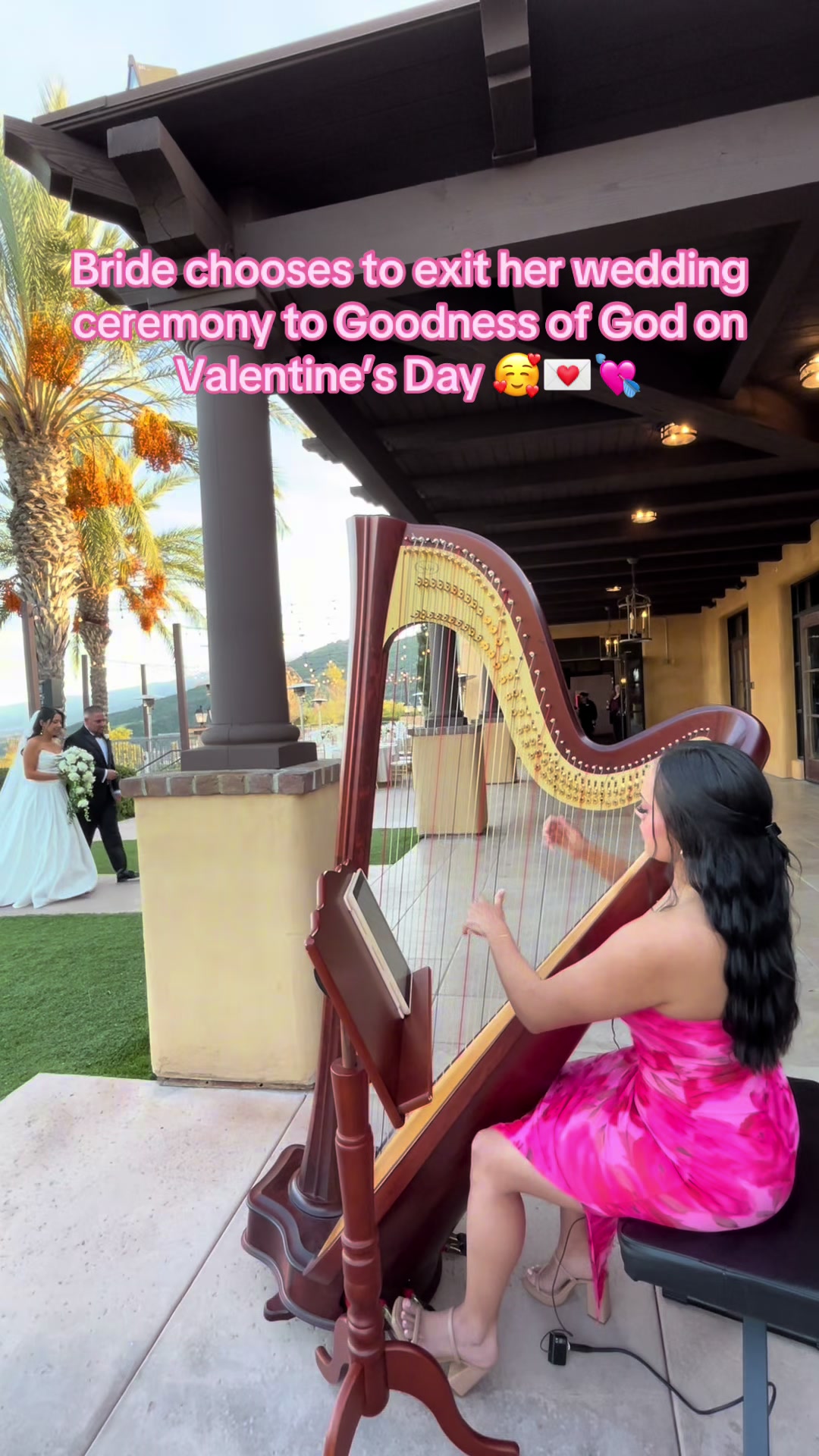 @betaniarodriguezharp