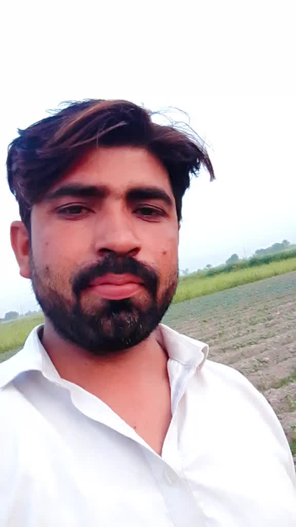 @abbasi
