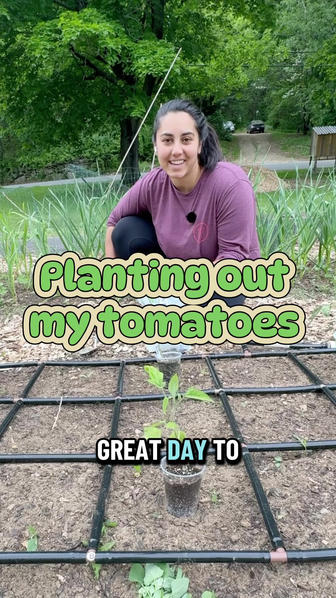 @Manica | zone 6a gardener