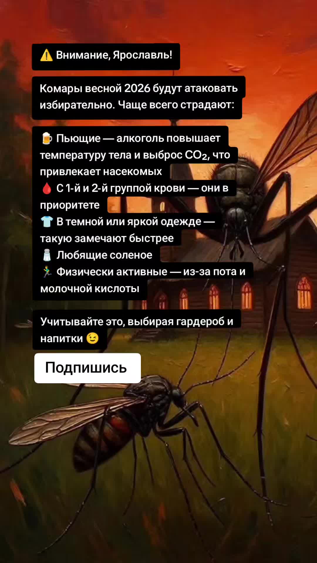 @Ярославские Новости