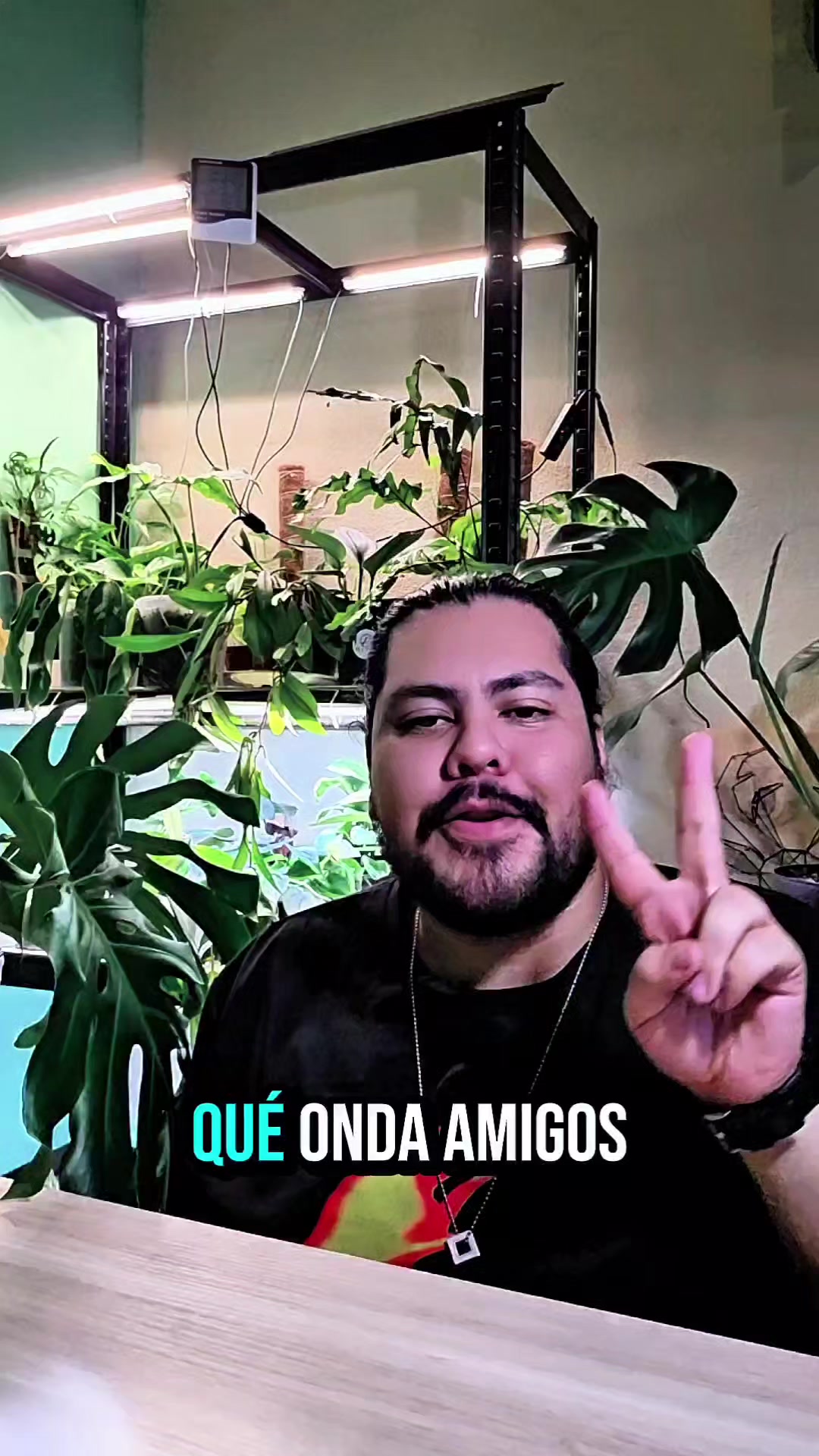 @🌱Plantonio🌱