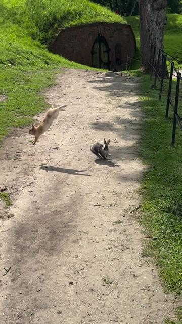 @Nature pathway