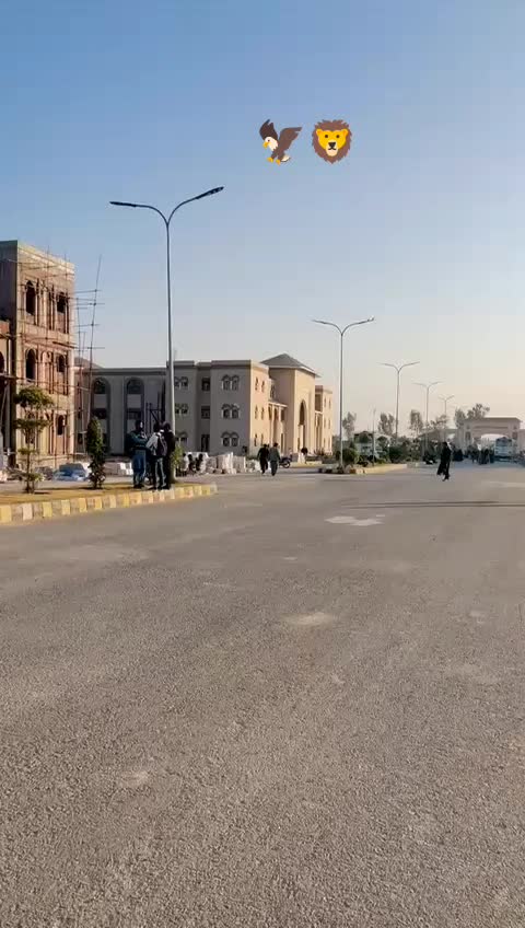 @Anas Bajwa