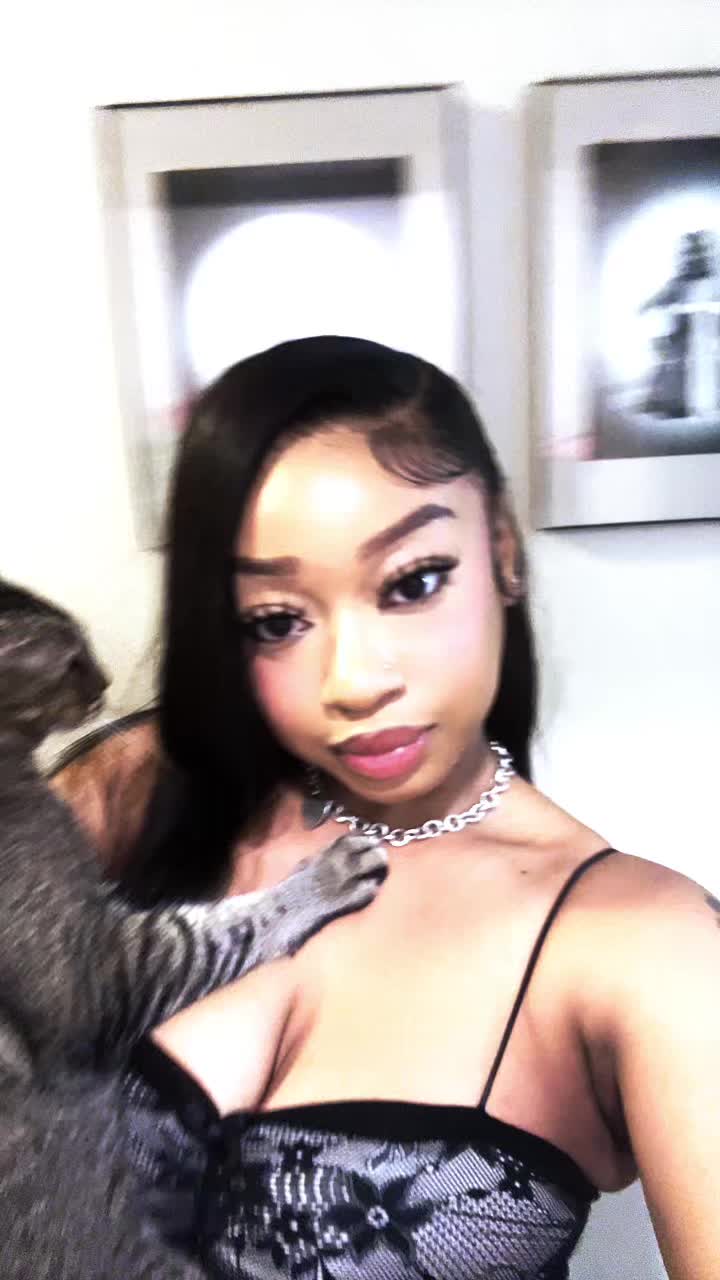 @iam.dredoll