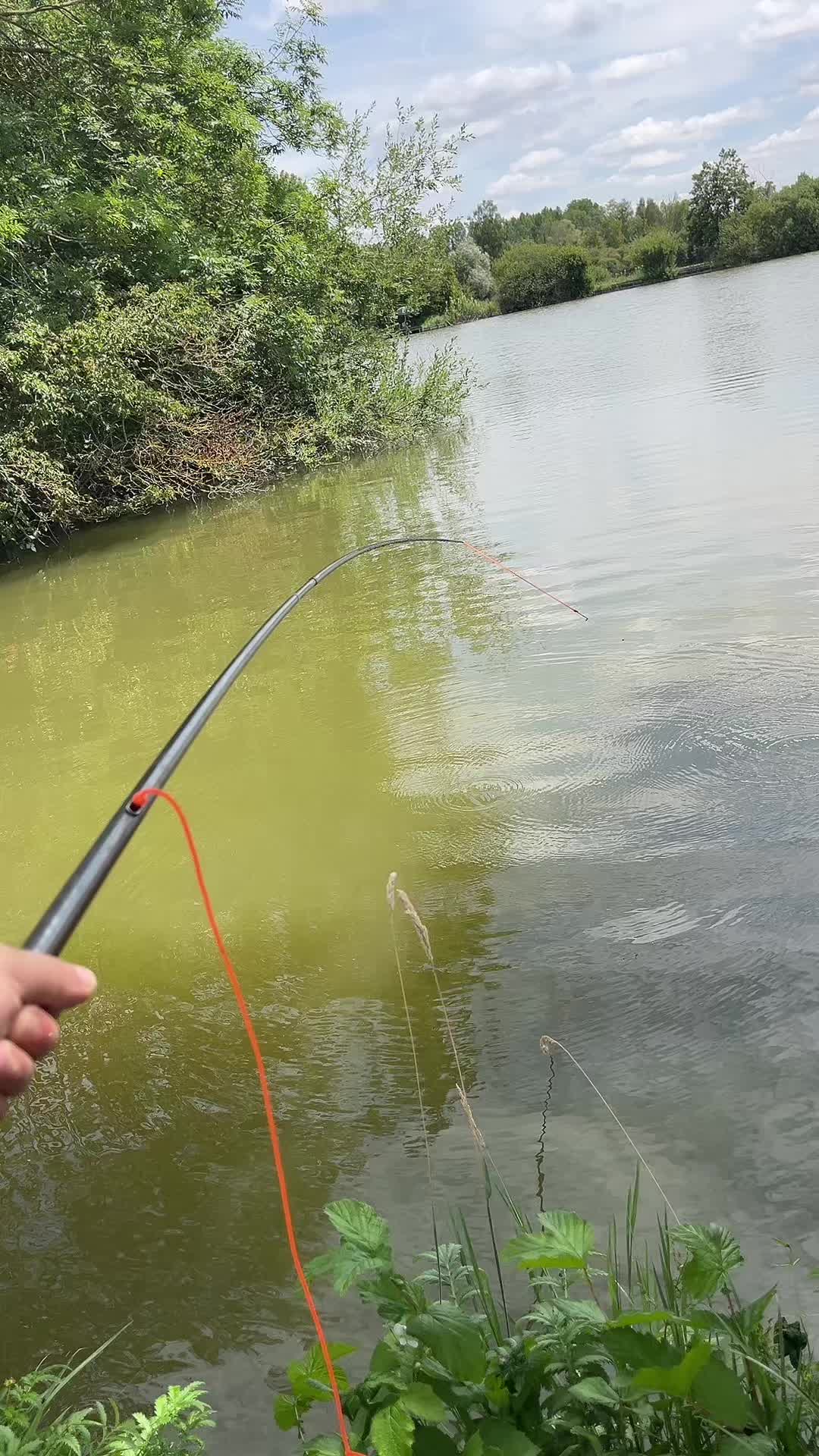 @Carpefishing80