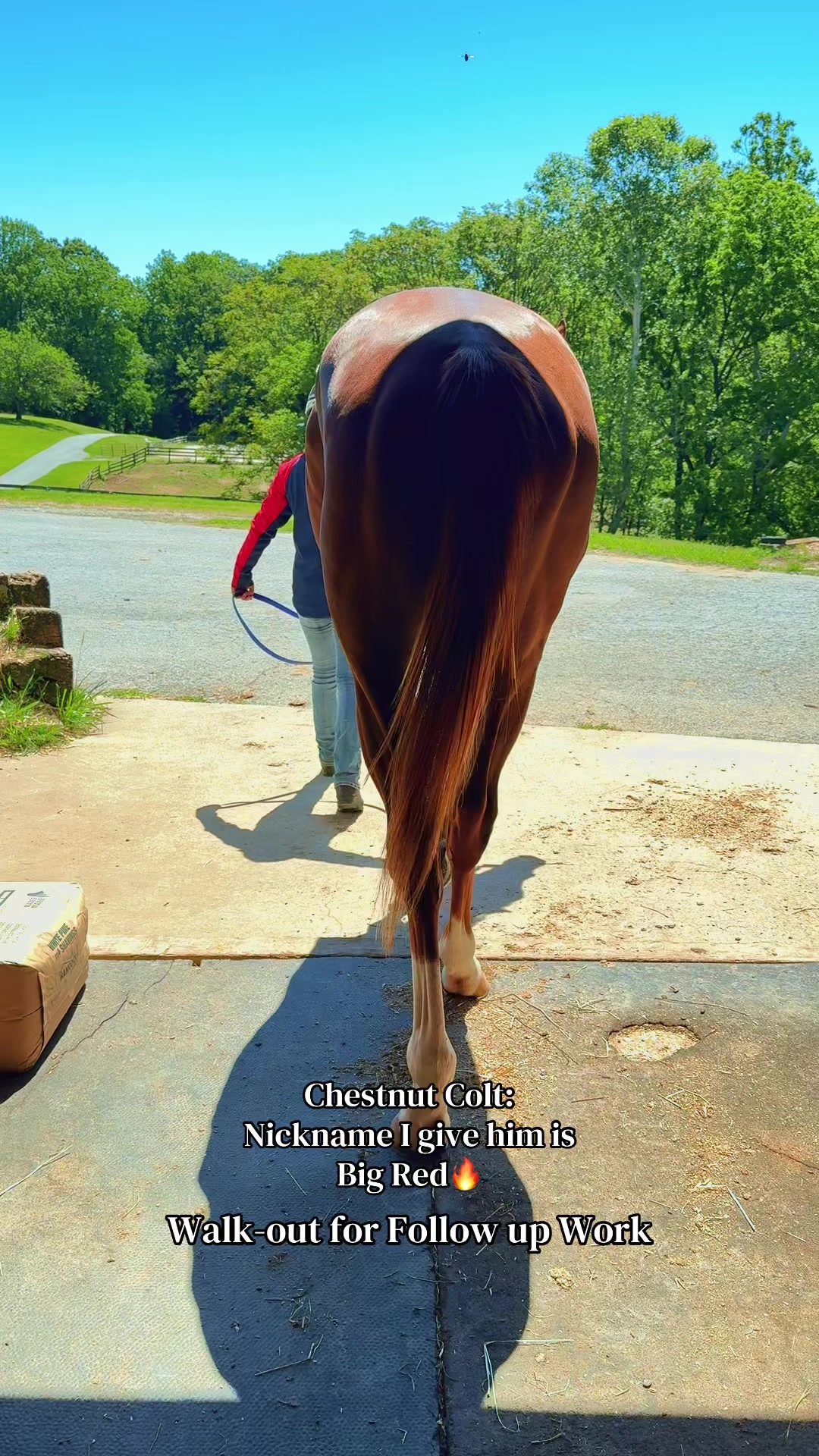 @Danigurl🦮🏇🌅🏳️&zwj;🌈