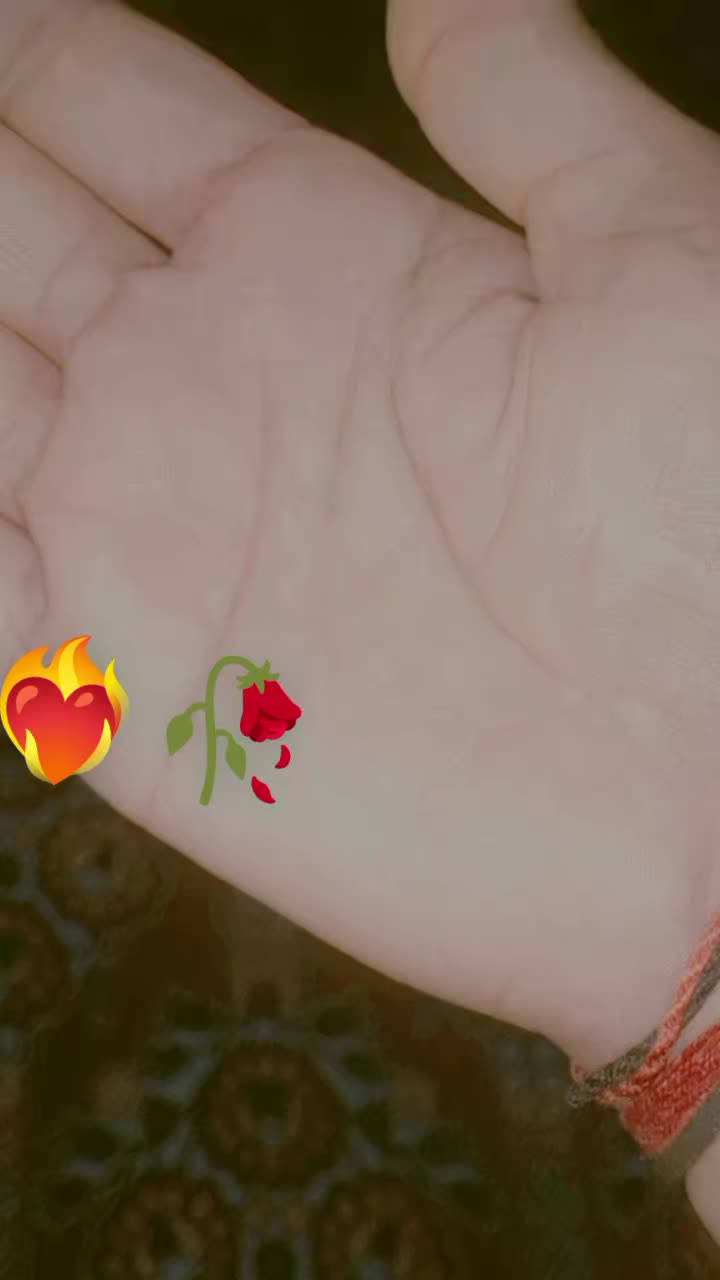 @zanab