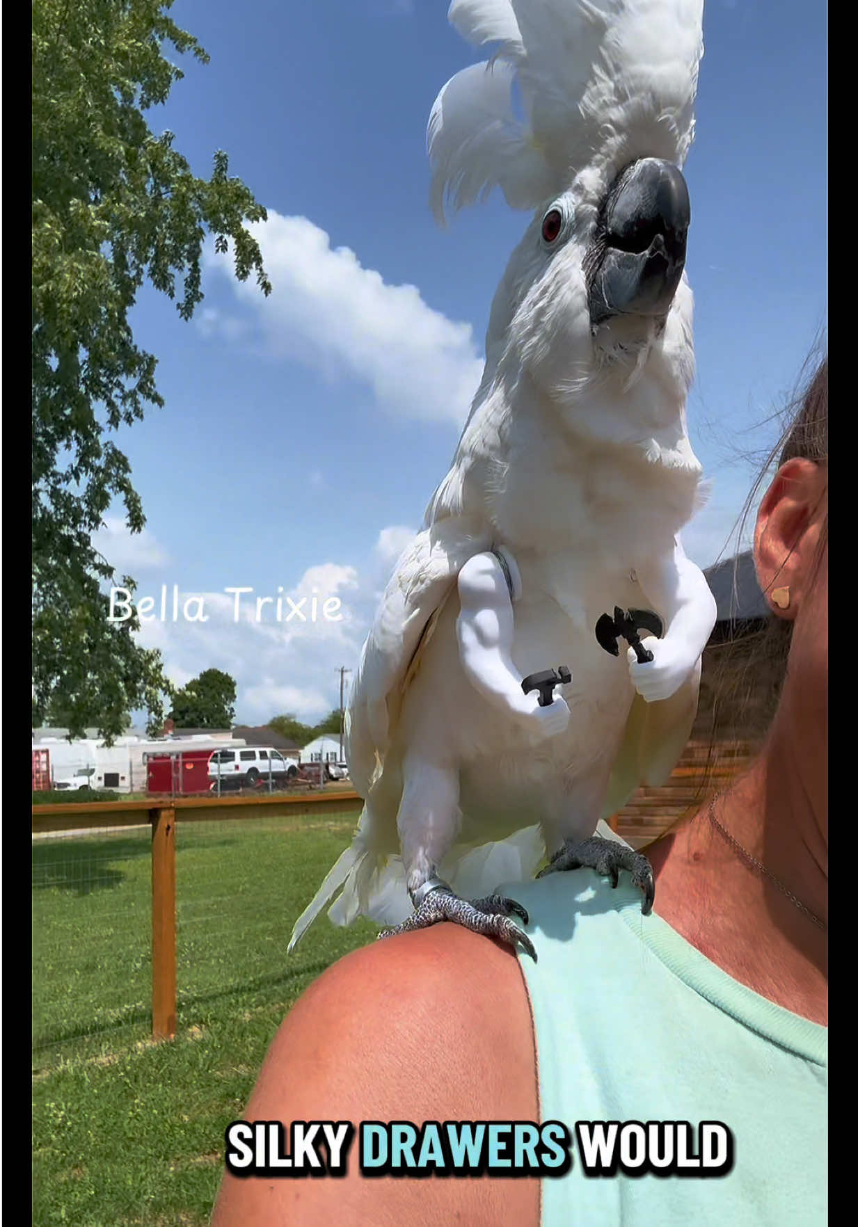 @bella_trixie_unleashed