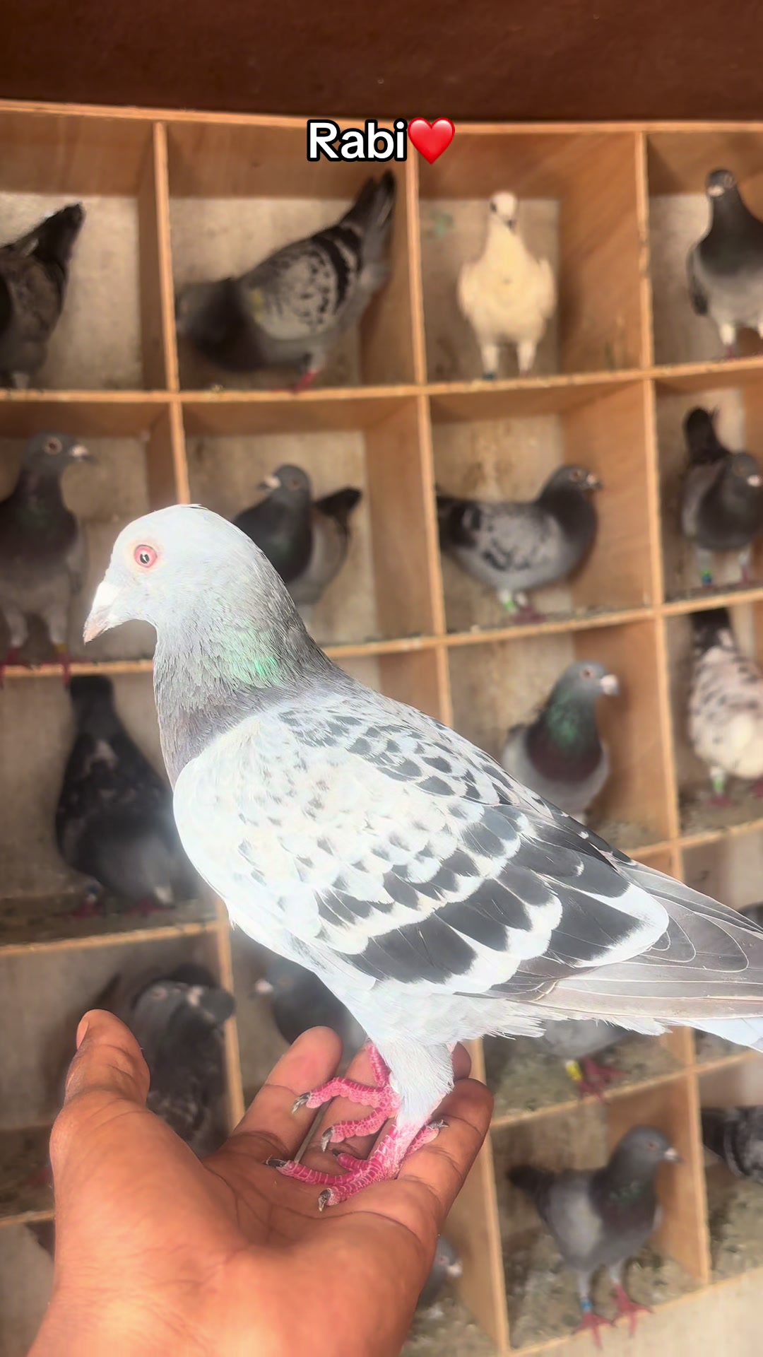@OMZOLOFT🕊🦜🇸🇳